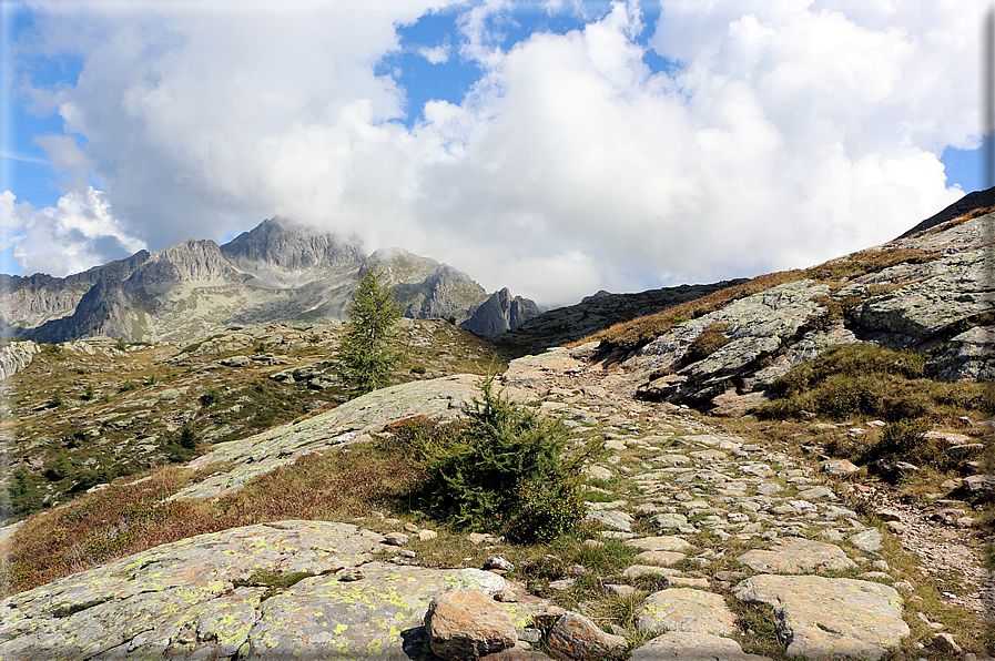 foto Da Passo 5 Croci alla Forcella Magna